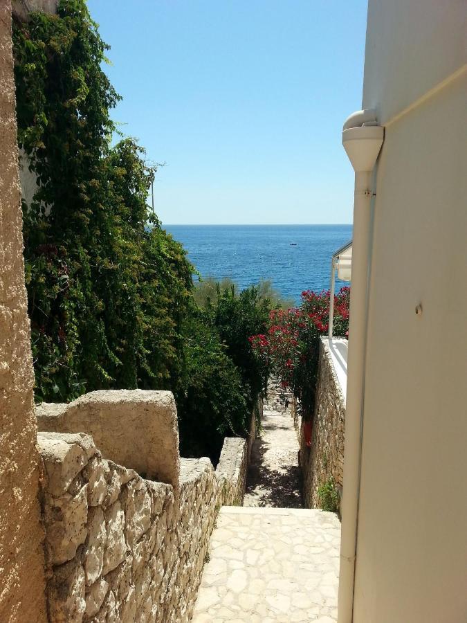 Villa Perla Sul Mare Adriatico à Marittima Extérieur photo